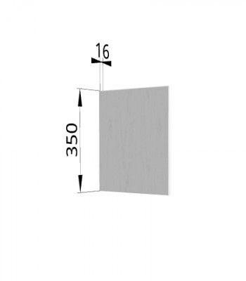 Панель торцевая (для шкафа горизонтального) ПГ Ройс (Графит софт) в Купино - kupino.mebel54.com | фото