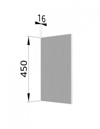 Панель торцевая (для шкафа горизонтального высокого) ВПГ Ройс (Графит софт) в Купино - kupino.mebel54.com | фото
